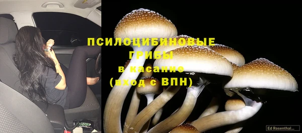 mdpv Балахна