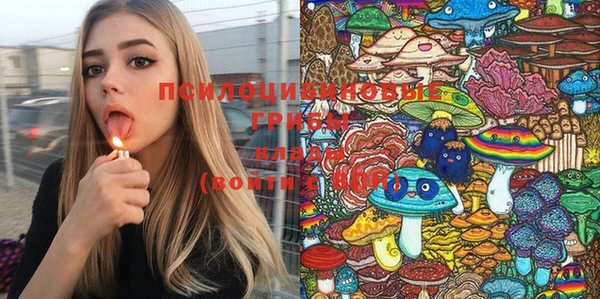 spice Балабаново