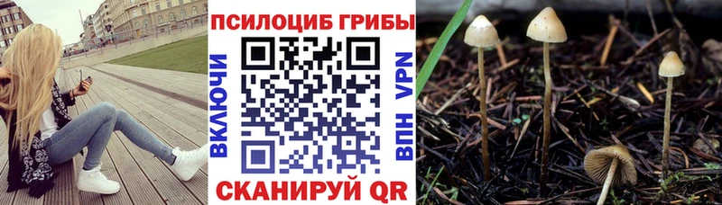 где продают наркотики  Красный Кут  Псилоцибиновые грибы MAGIC MUSHROOMS 